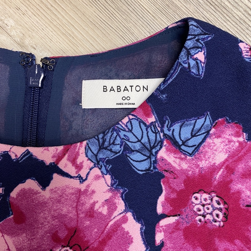 Babaton Foral Aritzia Dress